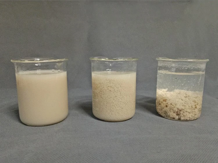 PAM Cationic Polyacrylamide Powder (2)