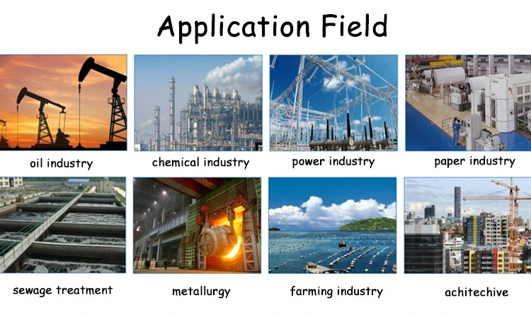 Cationic Polyacrylamide Powder Highly Effective Flocculant for Water Treatment and Industrial Processes (2)