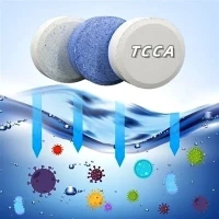 보장된 품질 풀 화학 염소 정제 과립형 분말 90% TCCA