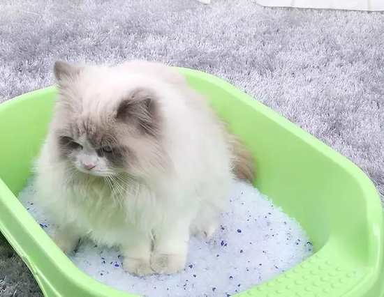 info-640-496 info-640-496