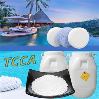 염소공장 90% 200g 정제 과립분말 트리클로로이소시아누르산 TCCA 살균제 표백제