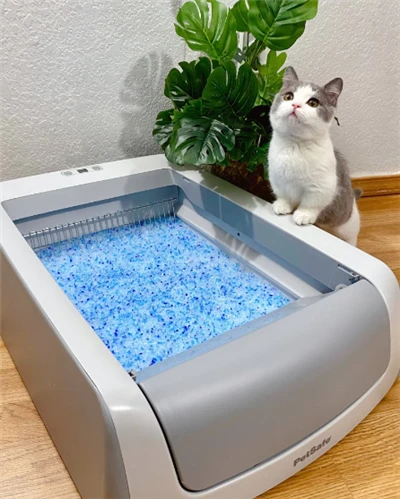 두부 고양이 쓰레기 무료 샘플 애완 동물 청소 용품 도매 실리카 젤 고양이 쓰레기